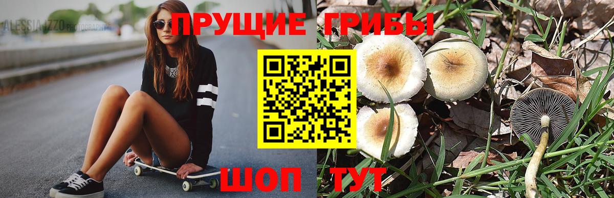 Галлюциногенные грибы прущие грибы  Псилоцибиновые грибы Psilocybine cubensis  Луга  Вход с VPN 