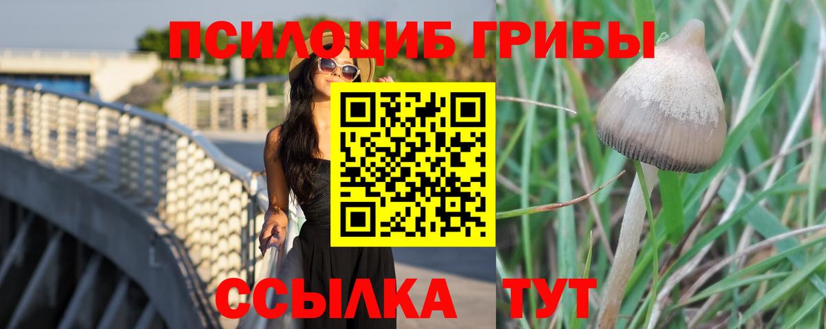 Псилоцибиновые грибы мицелий Луга